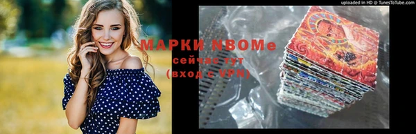 apvp Вяземский