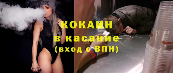 сатива Вязьма