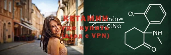 apvp Вяземский