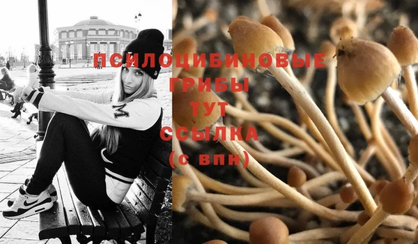 экстази Володарск