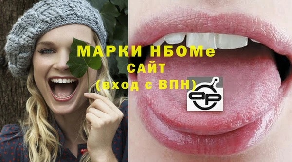 apvp Вяземский