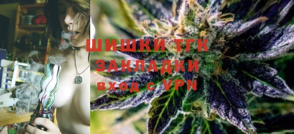 apvp Вяземский