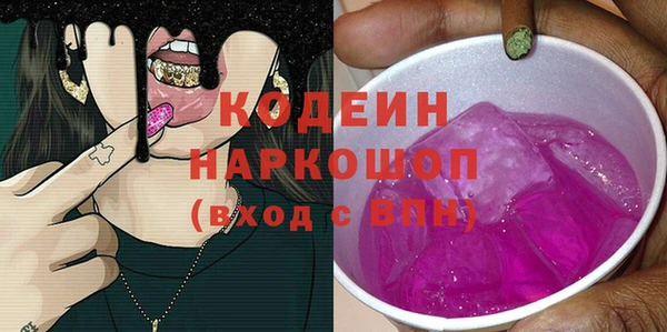 apvp Вяземский