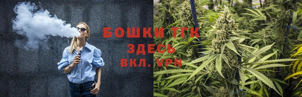 сатива Вязьма