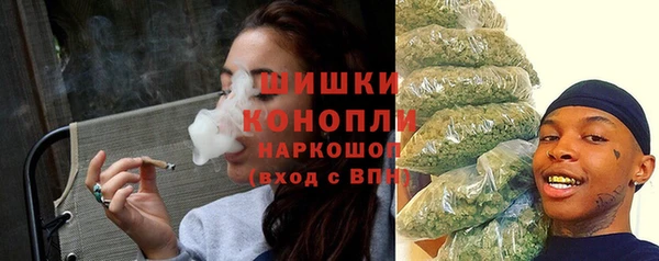 apvp Вяземский