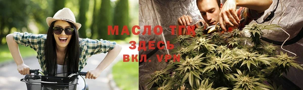 сатива Вязьма