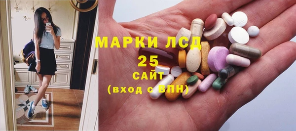 сатива Вязьма