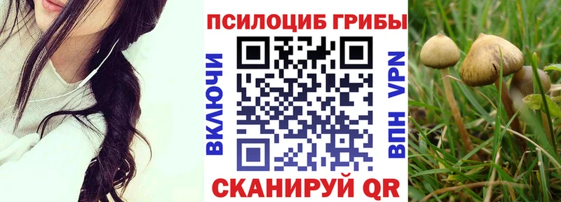 Псилоцибиновые грибы прущие грибы  Купить где  Кумертау 